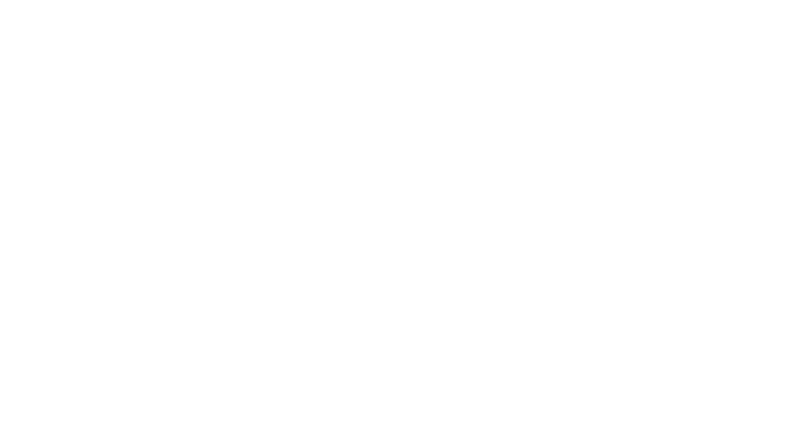 Primer